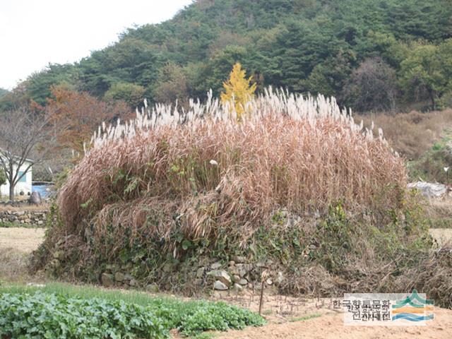 대표시청각 이미지