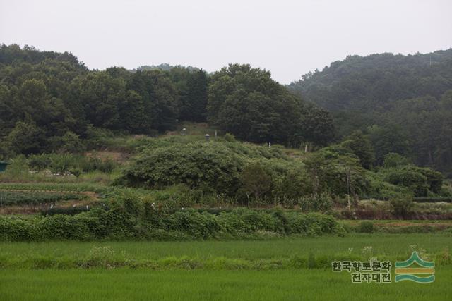 대표시청각 이미지