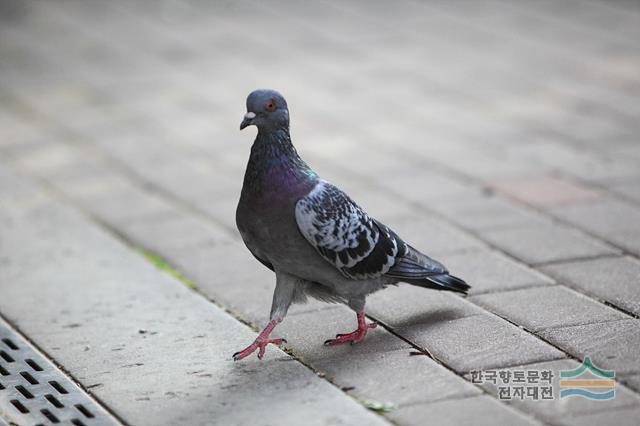 대표시청각 이미지