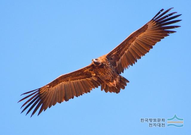 대표시청각 이미지